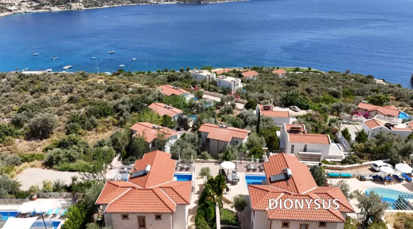 Villa Dionysus 40